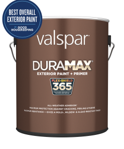 Valspar Duramax? Exterior Paint + Primer
