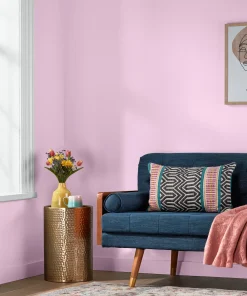 Valspar Pink Odyssey