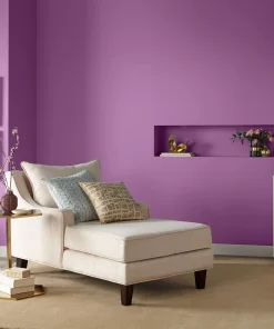 Valspar Purple Stripe