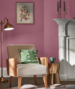 Valspar High Country Rose