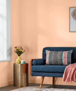 Valspar Peach Encounter