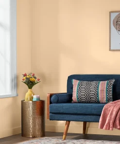 Valspar Champagne Orange