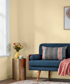 Valspar Coconut Scent