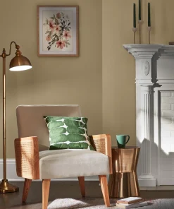 Valspar Winter Delta