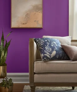 Valspar Cosmic Berry