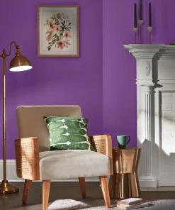 Valspar Sonic Plum