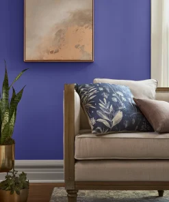 Valspar Purple Frenzy