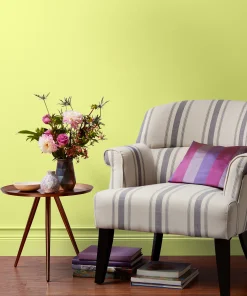 Valspar Fluorescent Lime