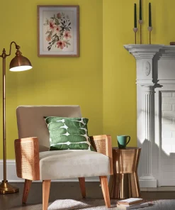Valspar Scottish Moss
