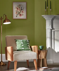 Valspar Olive Drab
