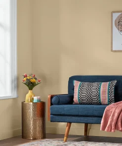 Valspar Hazy Earth